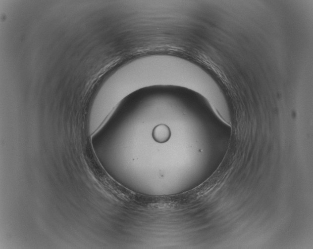 X0000071770356200607211537