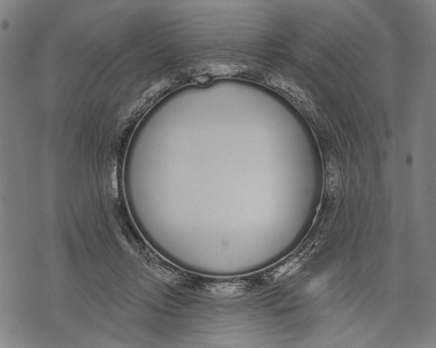 X0000071770358200607211537