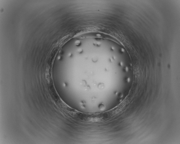 X0000071770360200607211537