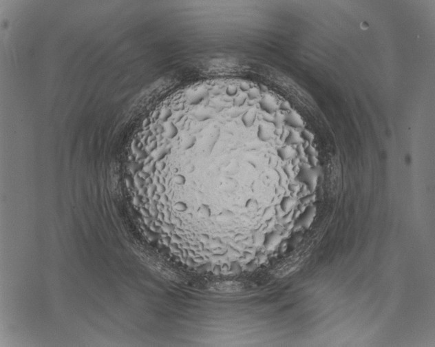 X0000071770361200607211538