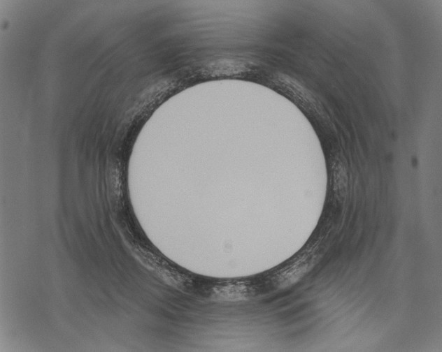 X0000071770362200607211538