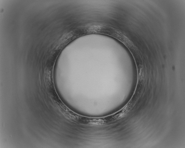 X0000071770363200607211538