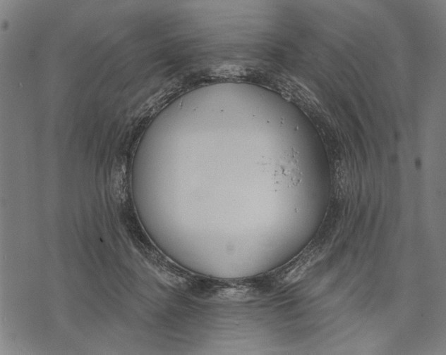 X0000071770364200607211538