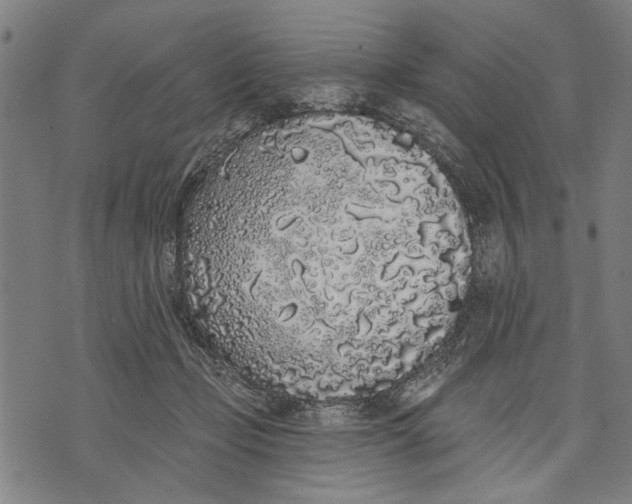 X0000071770365200607211538