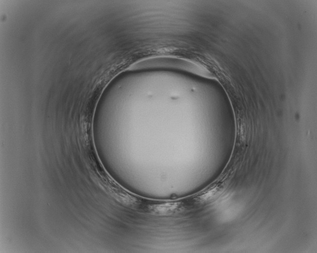 X0000071770366200607211538