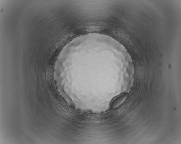 X0000071770367200607211538