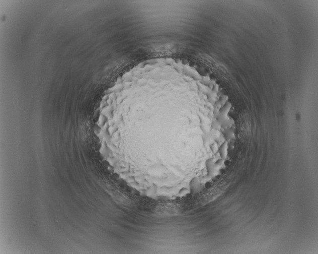 X0000071770369200607211538