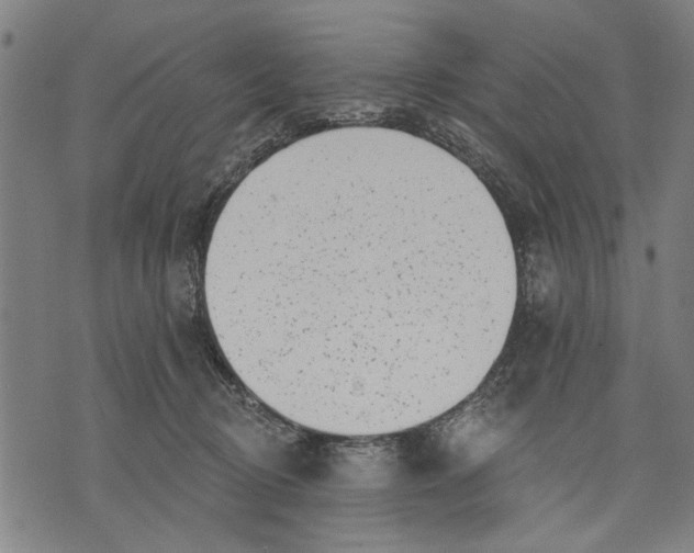 X0000071770370200607211538