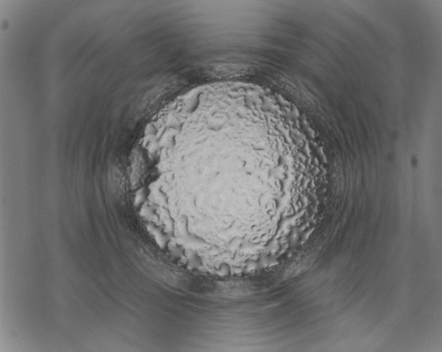 X0000071770371200607211538