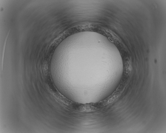 X0000071770372200607211538