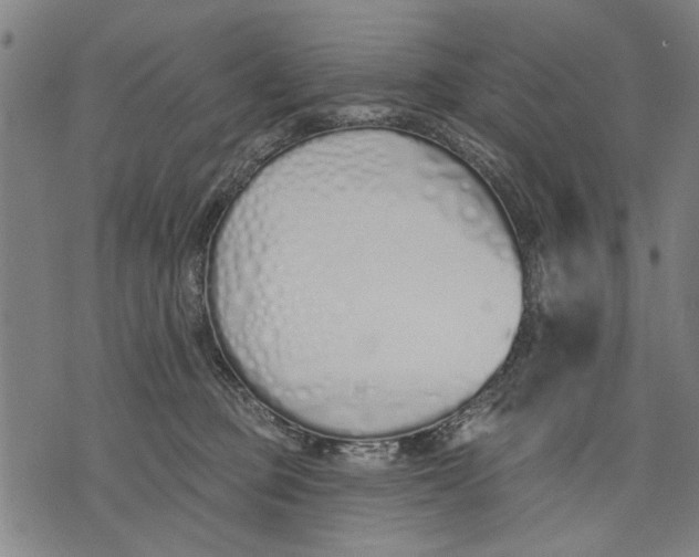 X0000071770373200607211538