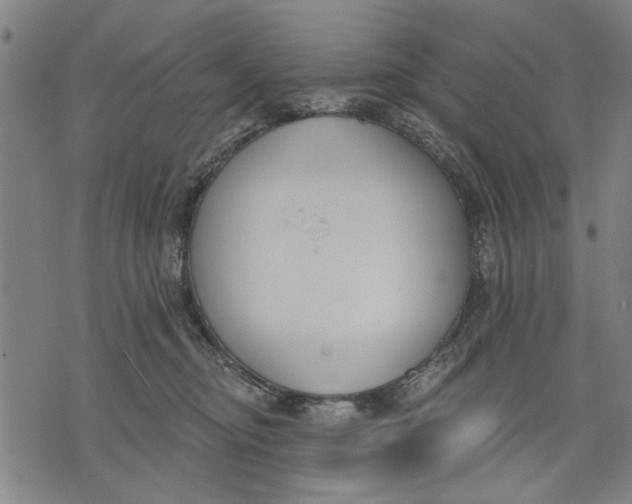 X0000071770374200607211538