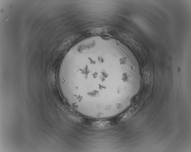 X0000071770375200607211538