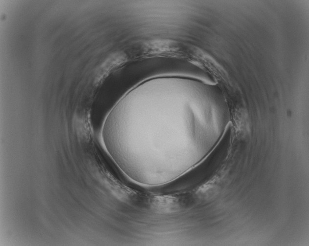 X0000071770376200607211538