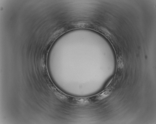 X0000071770377200607211538