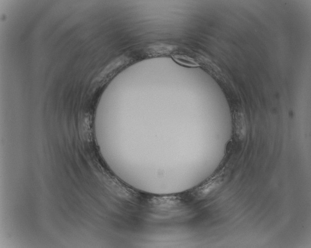 X0000071770378200607211538