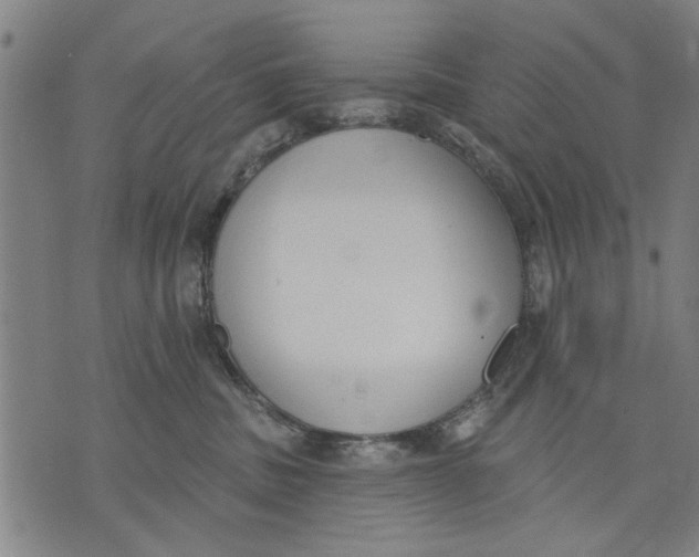 X0000071770379200607211538