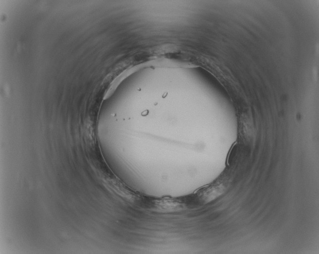 X0000071770380200607211538