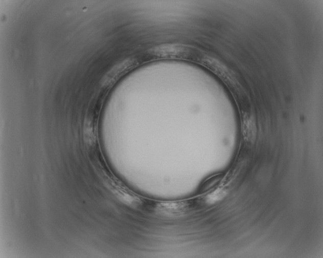 X0000071770381200607211538