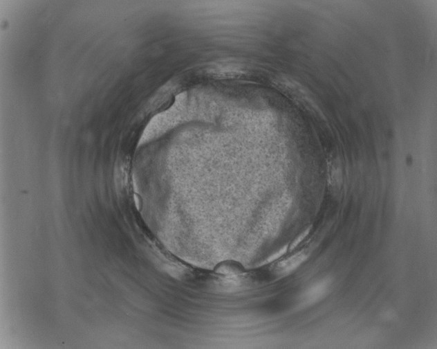 X0000071770382200607211538