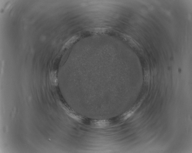 X0000071770383200607211538