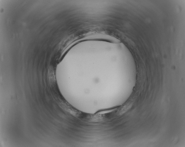 X0000071770384200607211538