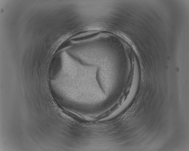 X0000071770385200607211537