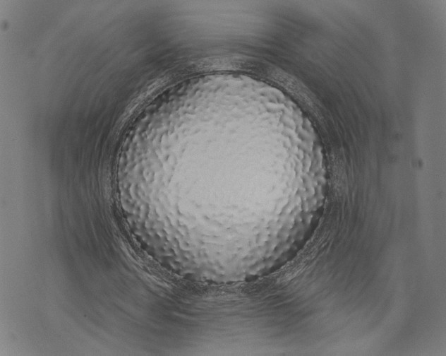 X0000071770386200607211537