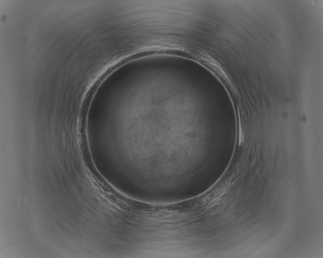 X0000071770387200607211537