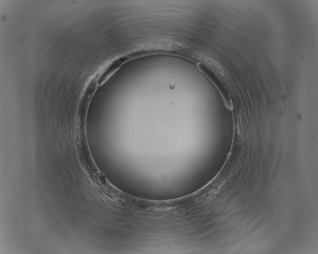 X0000071770388200607211537