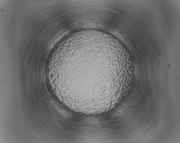 X0000071770390200607211537