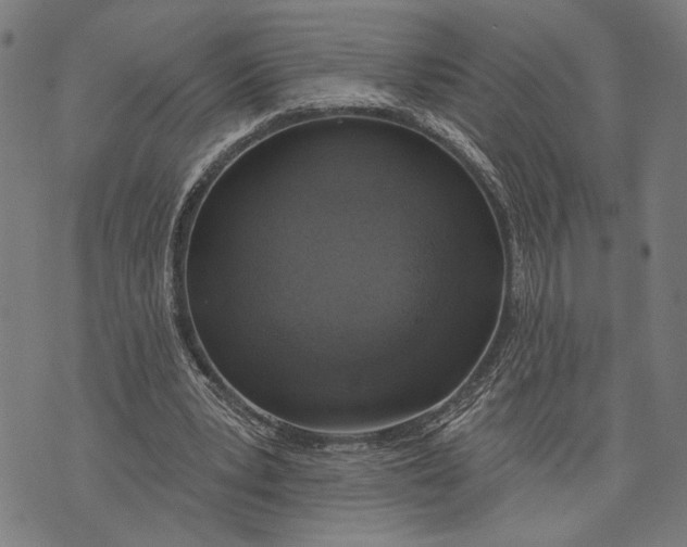 X0000071770391200607211537