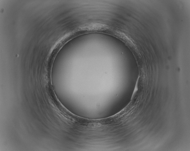 X0000071770392200607211537