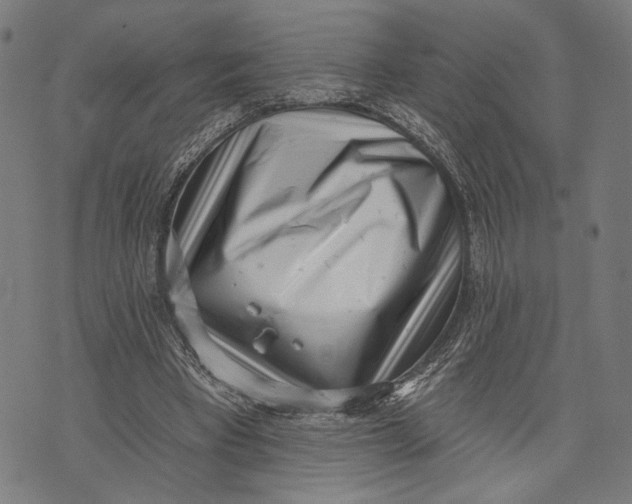 X0000071770393200607211537