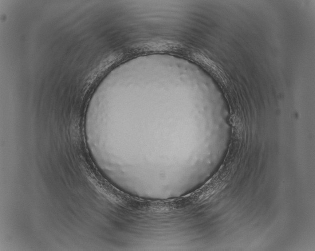 X0000071770394200607211537