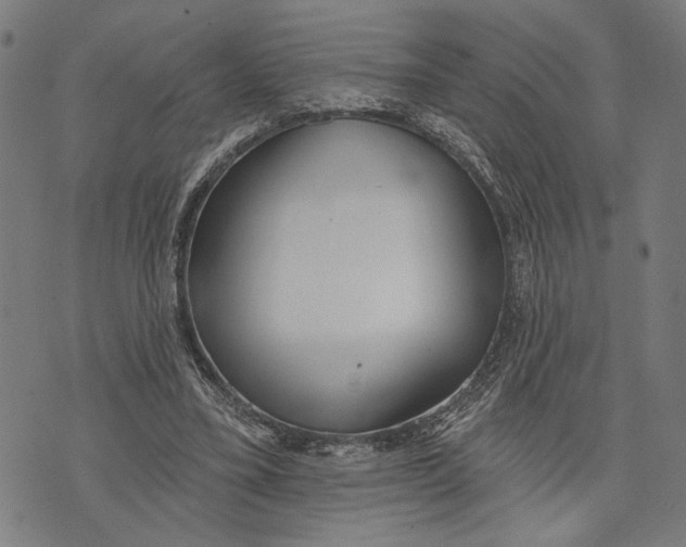 X0000071770395200607211537