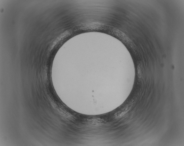 X0000071770396200607211537