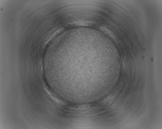 X0000071770398200607211537