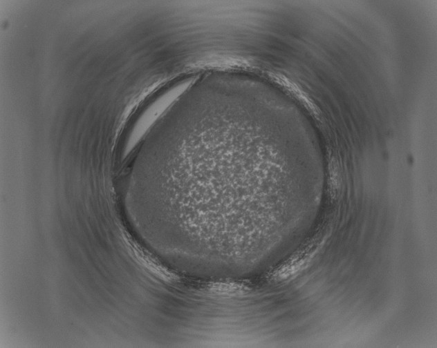 X0000071770399200607211537