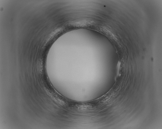 X0000071770400200607211537