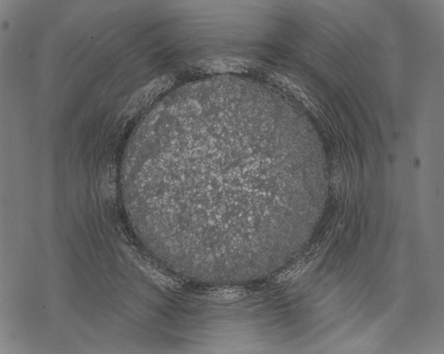 X0000071770402200607211537