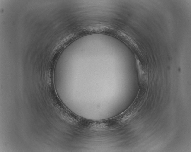 X0000071770403200607211537