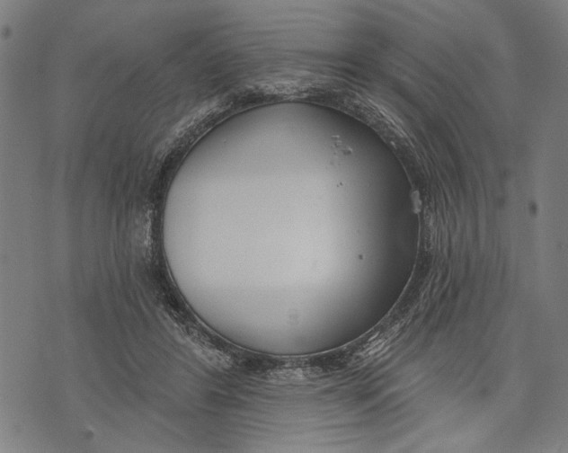 X0000071770404200607211537