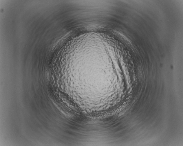 X0000071770405200607211537