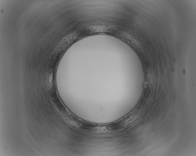 X0000071770406200607211537