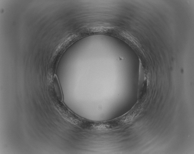 X0000071770407200607211537