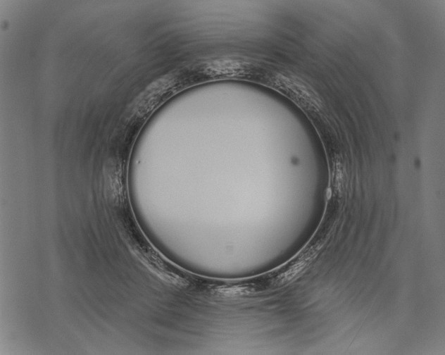 X0000071770408200607211537