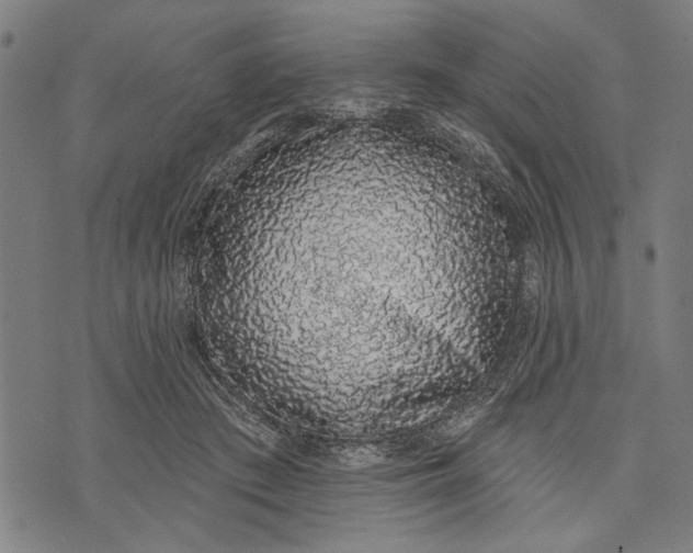 X0000071770409200607211537