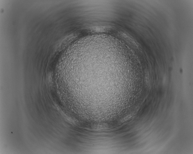 X0000071770410200607211537