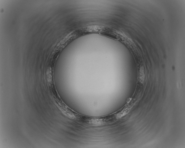 X0000071770413200607211537